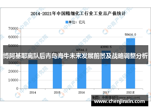 博阿基耶离队后青岛海牛未来发展前景及战略调整分析 博阿基耶离队后青岛海牛未来发展前景及战略调整分析