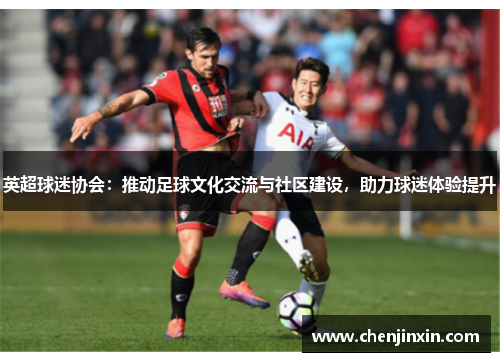 英超球迷协会:推动足球文化交流与社区建设,助力球迷体验提升 英超球迷协会:推动足球文化交流与社区建设,助力球迷体验提升