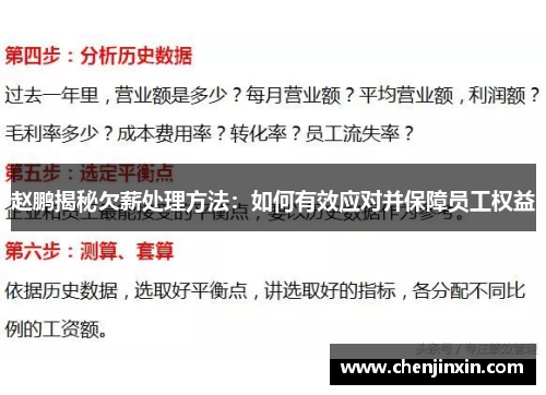 赵鹏揭秘欠薪处理方法：如何有效应对并保障员工权益